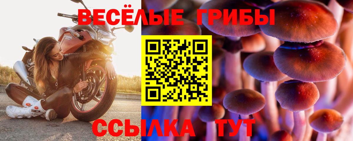 Галлюциногенные грибы Cubensis  Псилоцибиновые грибы GOLDEN TEACHER  Вход с VPN  Астрахань 